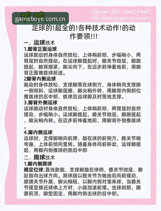资深用户分享：博业体育玩法使用技巧，从新手到高手的进阶指南